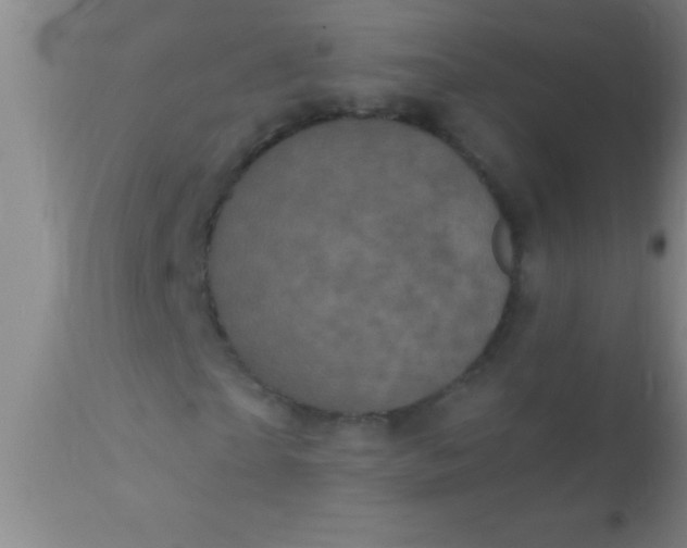 X0000110940865200907022131