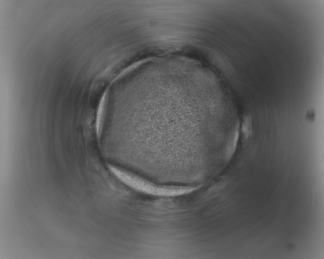 X0000110940867200907022131