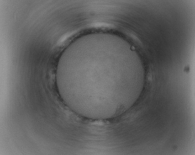 X0000110940869200907022131