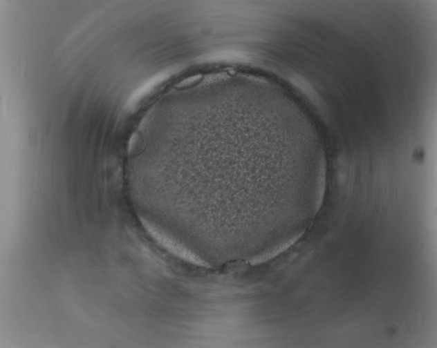 X0000110940872200907022131