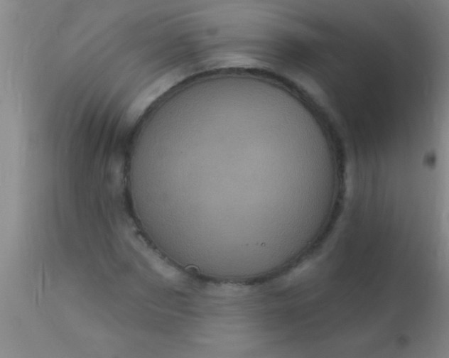 X0000110940873200907022131