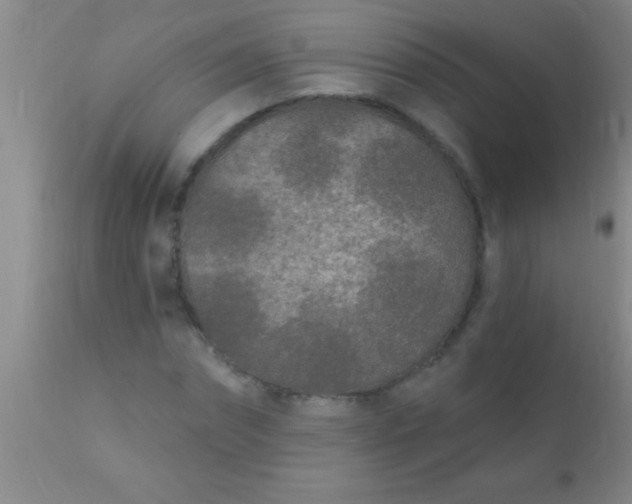 X0000110940874200907022131