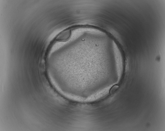 X0000110940876200907022131