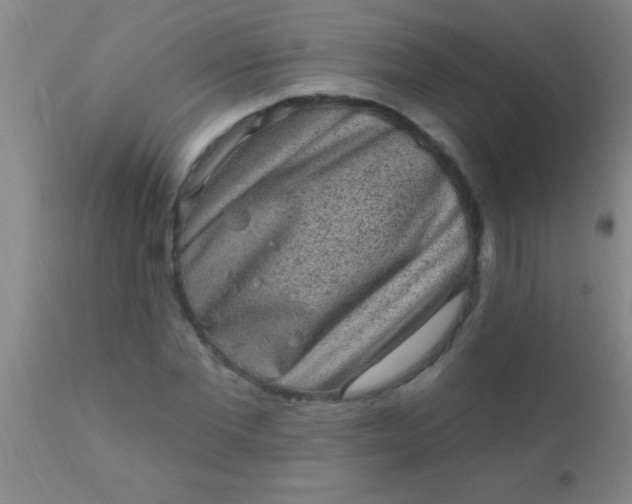 X0000110940877200907022131