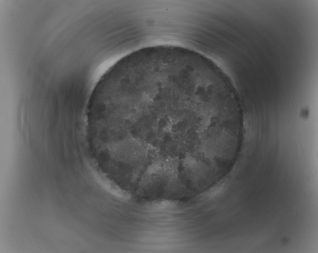 X0000110940879200907022131