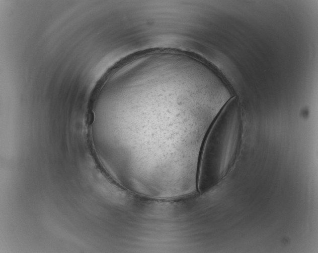 X0000110940880200907022131