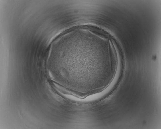 X0000110940881200907022131