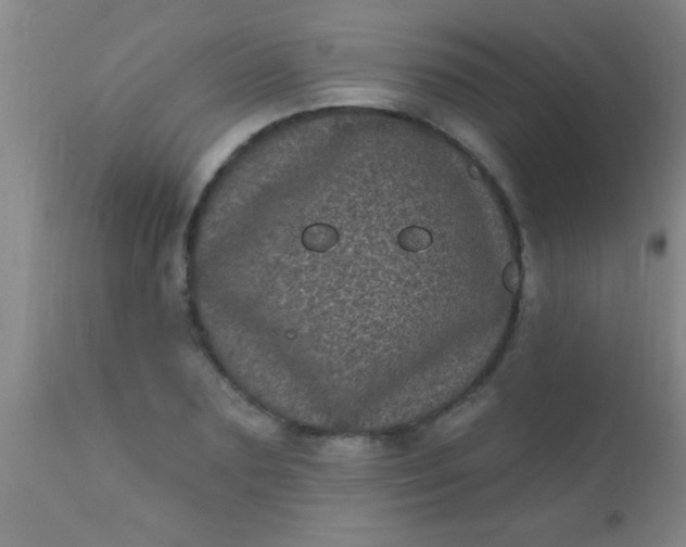 X0000110940883200907022131