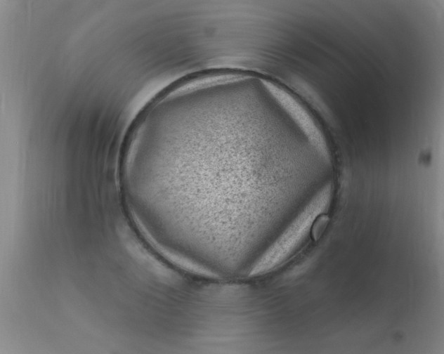 X0000110940884200907022130