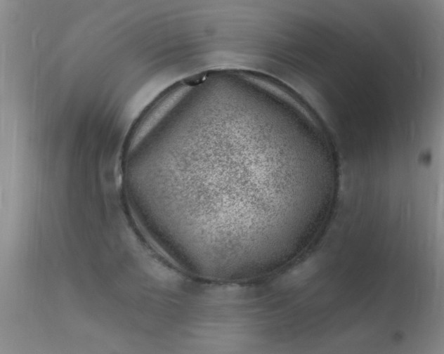 X0000110940885200907022130