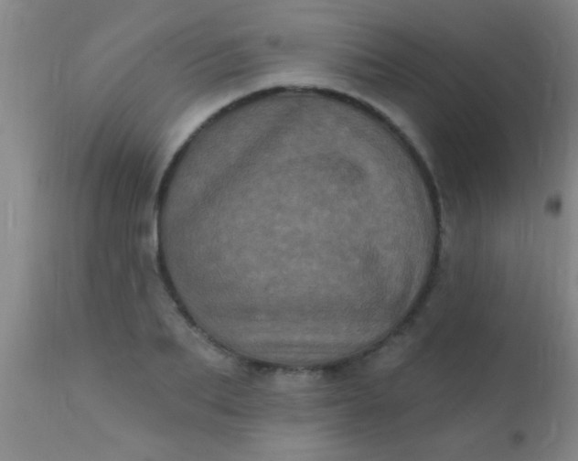 X0000110940887200907022130