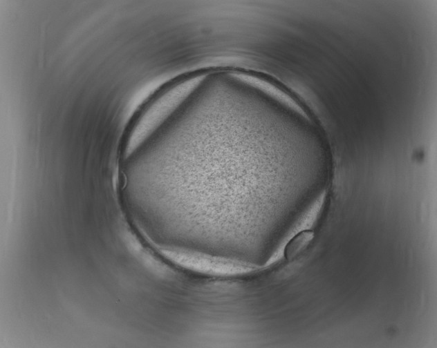 X0000110940888200907022130