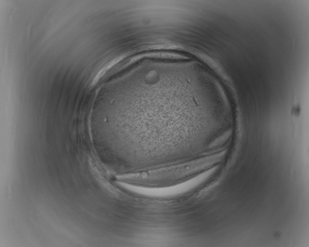 X0000110940889200907022130