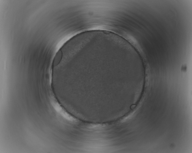 X0000110940892200907022130