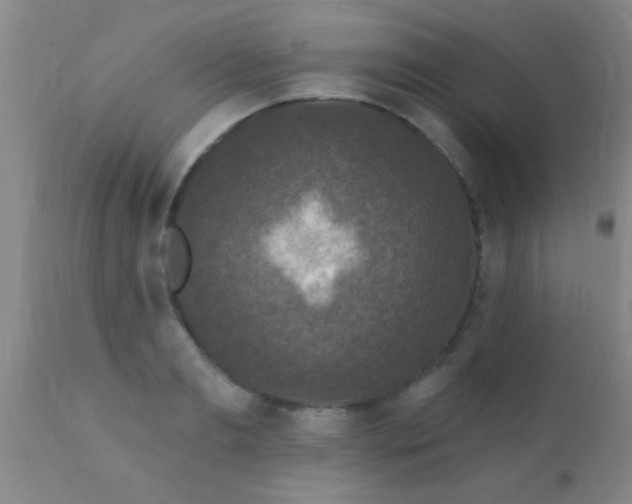 X0000110940893200907022130