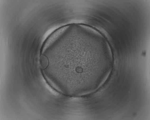 X0000110940894200907022130