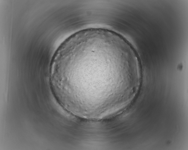 X0000110940895200907022130