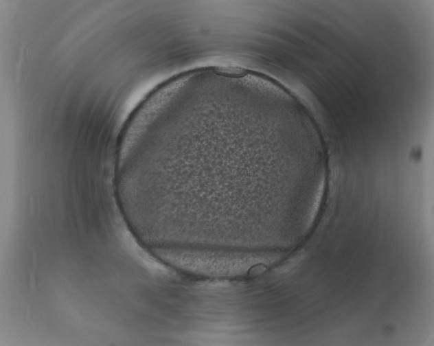 X0000110940896200907022130