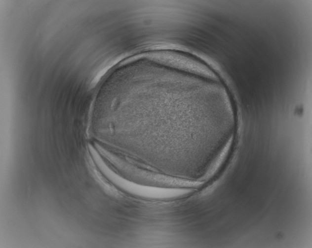 X0000110940897200907022130