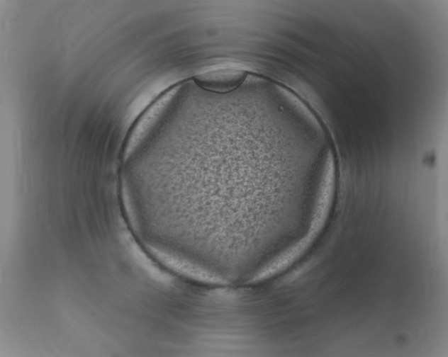 X0000110940898200907022130