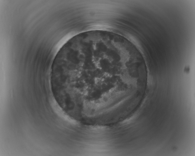 X0000110940899200907022130