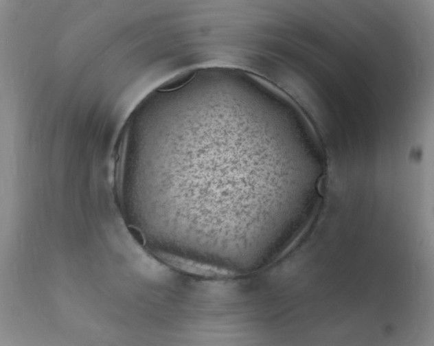 X0000110940900200907022130