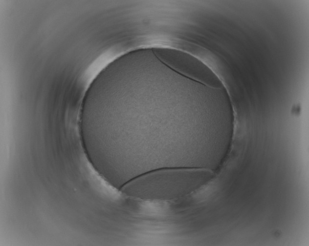 X0000110940901200907022130