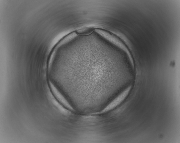 X0000110940902200907022130