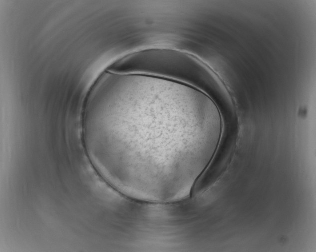 X0000110940904200907022130