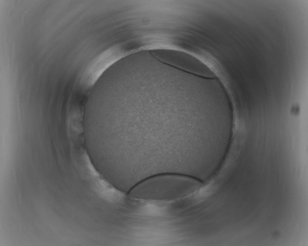 X0000110940905200907022130