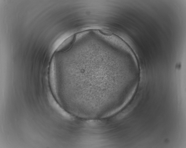 X0000110940906200907022130