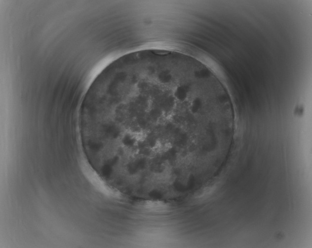 X0000110940907200907022130