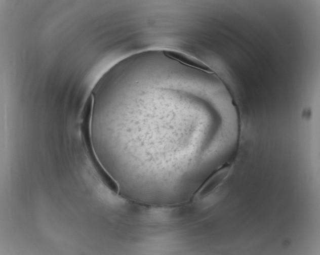 X0000110940908200907022130