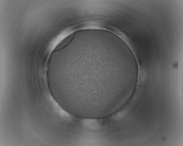 X0000110940909200907022130