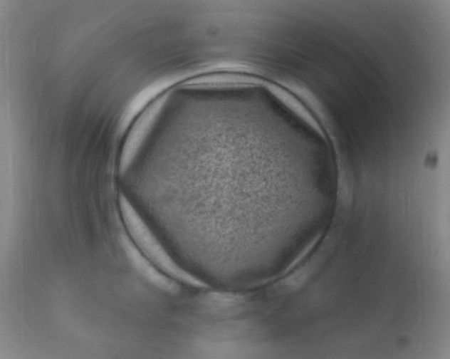 X0000110940910200907022130