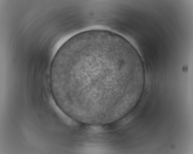 X0000110940911200907022130