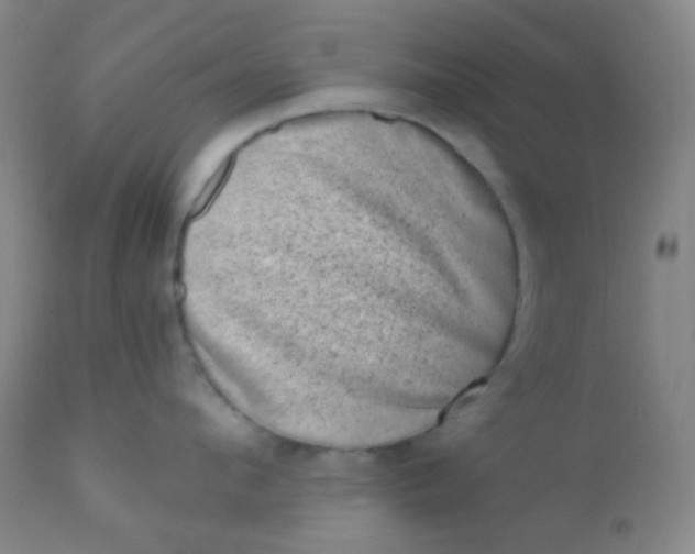 X0000110940912200907022130