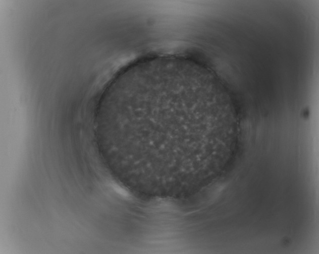 X0000110940913200907022129