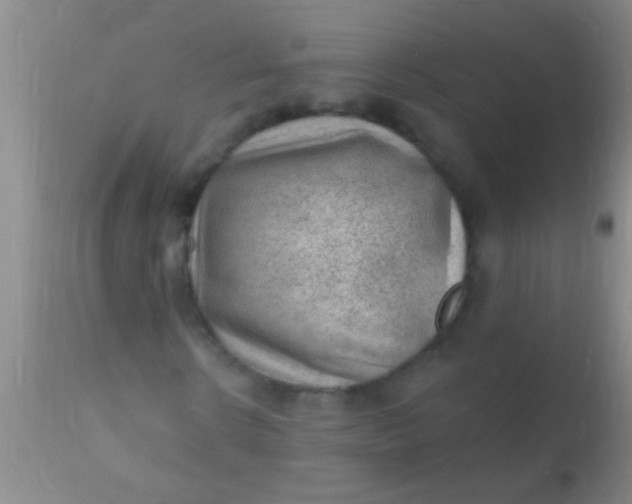 X0000110940914200907022129