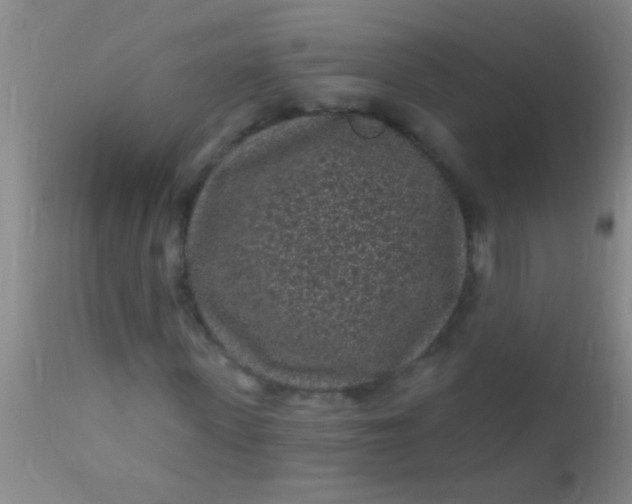 X0000110940915200907022129