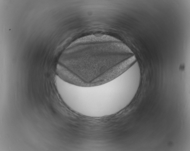 X0000110940916200907022129