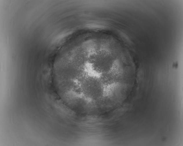 X0000110940917200907022130