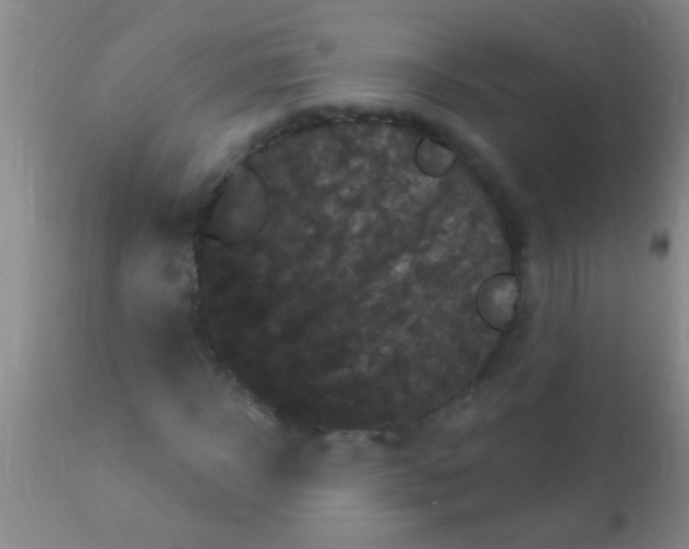 X0000110940918200907022130