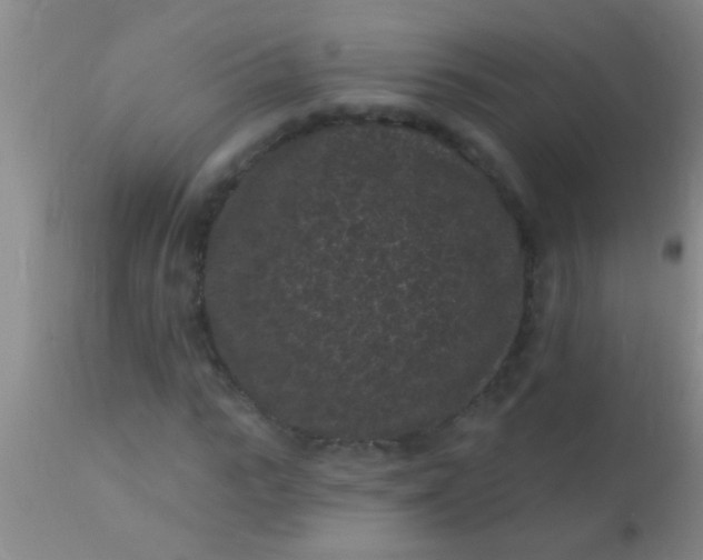 X0000110940919200907022130