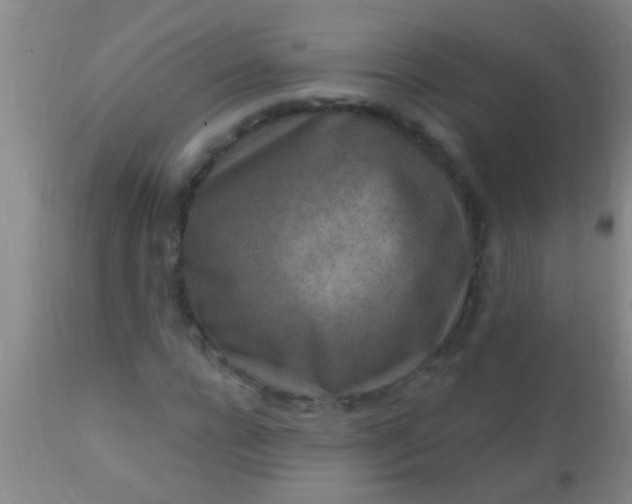 X0000110940920200907022130