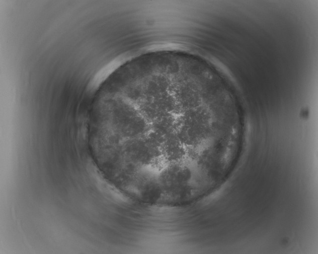 X0000110940921200907022130