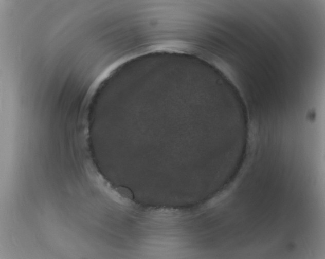 X0000110940923200907022130