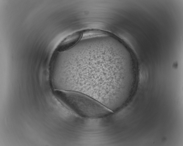 X0000110940924200907022130