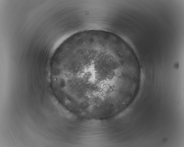 X0000110940925200907022130