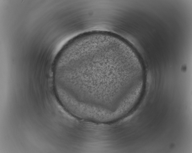 X0000110940926200907022130